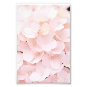 Beau Pétales Fleur Rose Clair Poster Floral