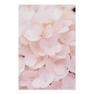 Beau Pétales Fleur Rose Clair Poster Floral