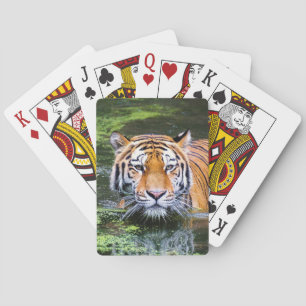 Beau plateau de tigres de cartes à jouer