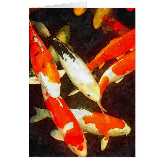 Beau Poisson Koi Dans Un Étang (Devant)