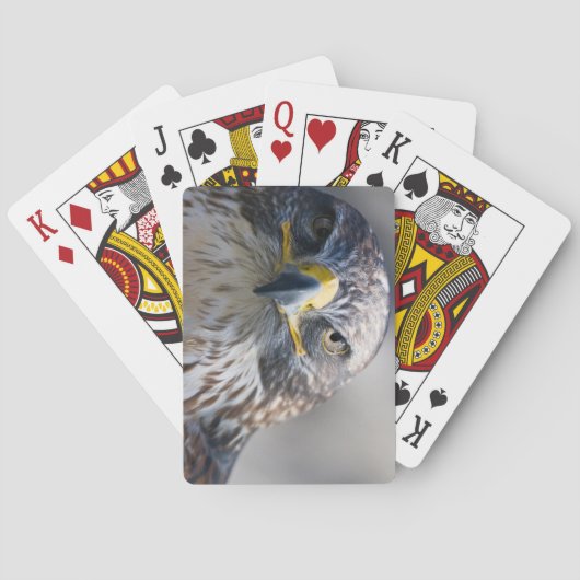 Beau pont d'aigle de cartes de jeu (dos)