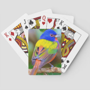 Beau pont d'oiseaux de cartes de jeu
