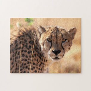 Beau portrait de Cheetah, puzzle