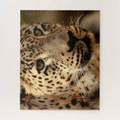 Beau Portrait de léopard, Puzzle (Vertical)