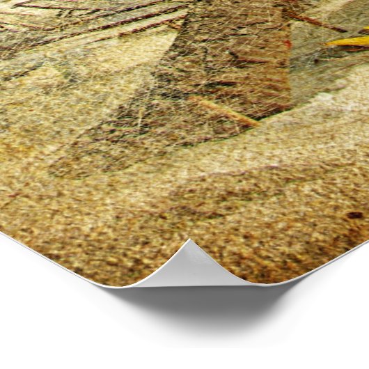 Beau Poster vintage (Coin)