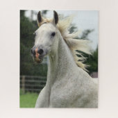 Beau puzzle Arabe de cheval (Vertical)