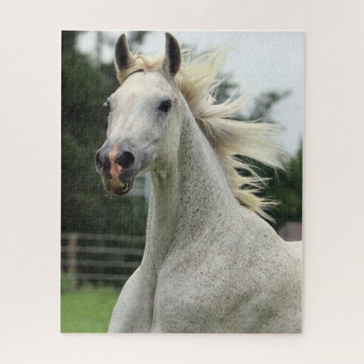 Beau puzzle Arabe de cheval (Vertical)