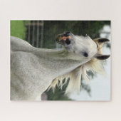 Beau puzzle Arabe de cheval (Horizontal)