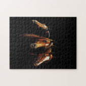 Beau puzzle Arabe de chevaux (Horizontal)