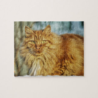 Beau Puzzle de chat Jaune