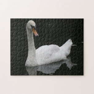Beau Puzzle de cygne blanc