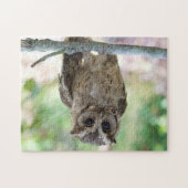 Beau Puzzle de Jeune Chouette (Horizontal)