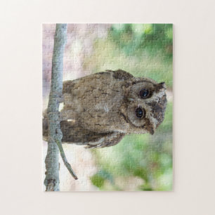 Beau Puzzle de Jeune Chouette