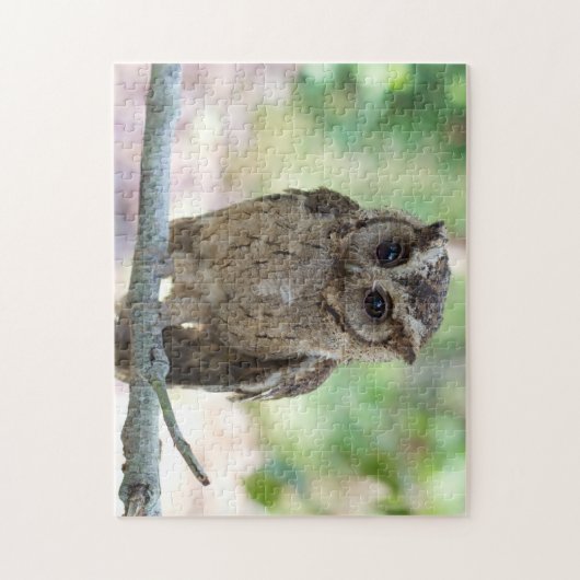 Beau Puzzle de Jeune Chouette (Vertical)