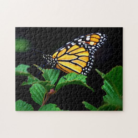 Beau Puzzle de papillon de monarque gros plan (Horizontal)