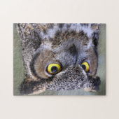 Beau Puzzle de puzzle de hibou (Horizontal)