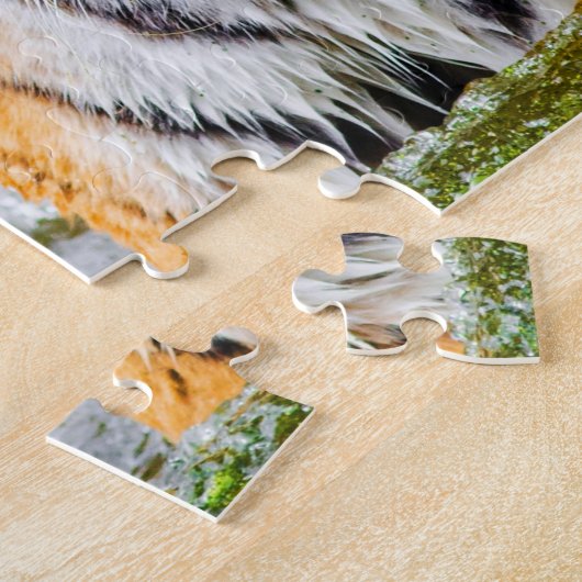 beau puzzle de Tiger (Côté)