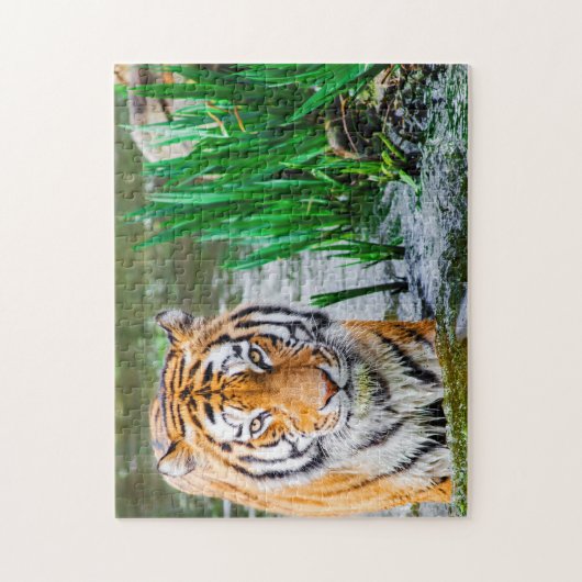 beau puzzle de Tiger (Vertical)