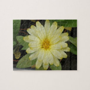 Beau Puzzle Jaune Marigold