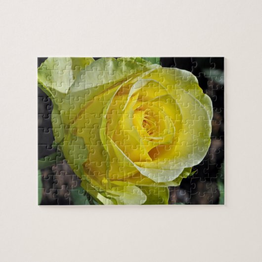 Beau puzzle jaune rose (Horizontal)