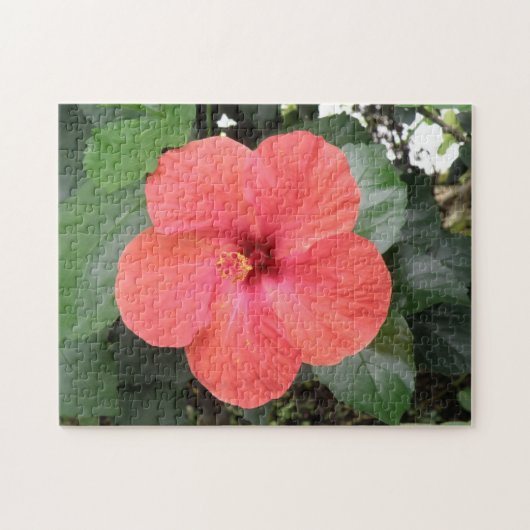 Beau Puzzle Orange Hibiscus Flower (Horizontal)