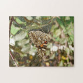 Beau Puzzle papillon (Horizontal)