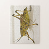 Beau Puzzle photo Bug Grasshopper Locust (Vertical)