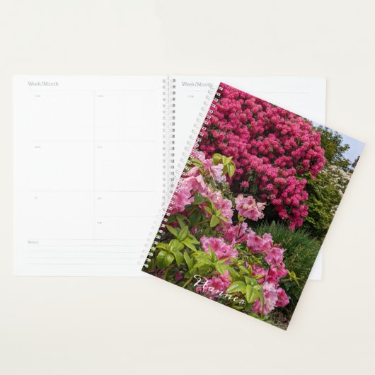Beau Rhododendron rose fleurit Floral (Devant avec enveloppe)