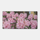 Beau Rhododendron rose fleurit Floral (Recto)