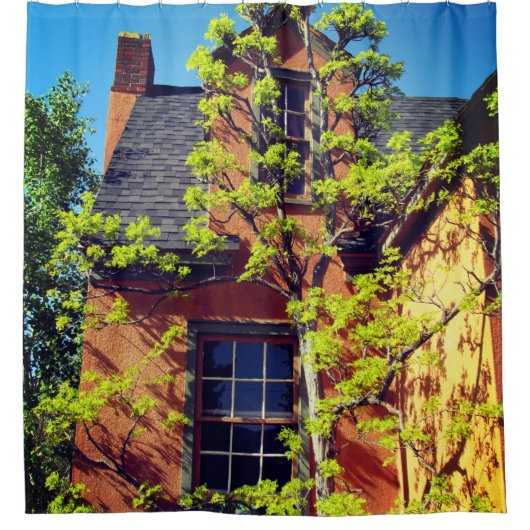 Beau rideau de douche d'arbre (Devant)