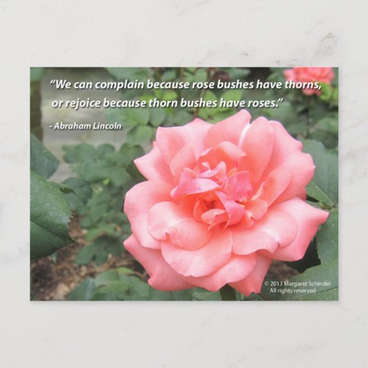 Beau Rose dans Carte postale Bloom avec citation L (Devant)
