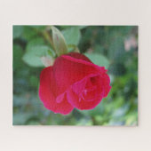 Beau Rose Jigsaw Puzzle (Horizontal)