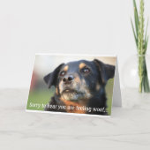 Beau S'En Sortir Bientôt Carte De Voeux Chien (Devant)