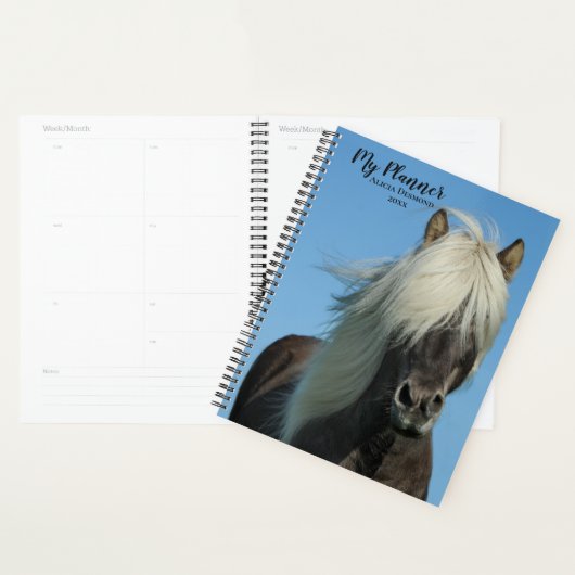 Beau Shetland Pony (Devant avec enveloppe)