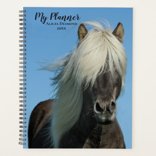 Beau Shetland Pony (Devant)