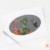Beau Sticker ovale Colibri (Enveloppe)