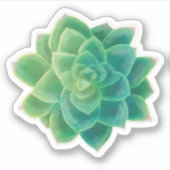 Beau Sticker Plante Succulent (Devant)