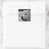 Beau Sticker Polonais Tatra Sheepdog (Sac)