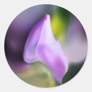 Beau Sticker rond d'impression de fleurs