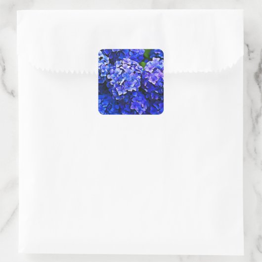 Beau Stickers Blue Hydrangea Fleurs (Sac)