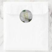 Beau Stickers Carnation Blanche (Sac)