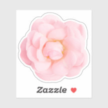 Beau stickers rose rose