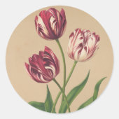 Beau Stickers Tulips Vintages (Devant)