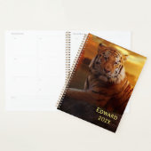 Beau tigre  (Devant avec enveloppe)