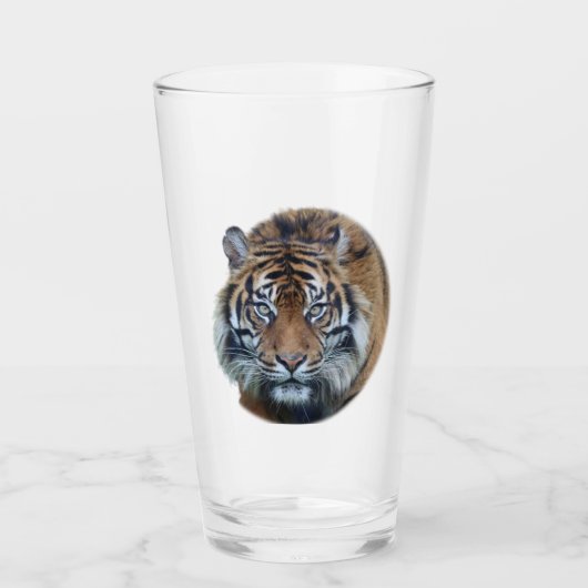 Beau Tigre du Bengale Visage de verre (Devant)