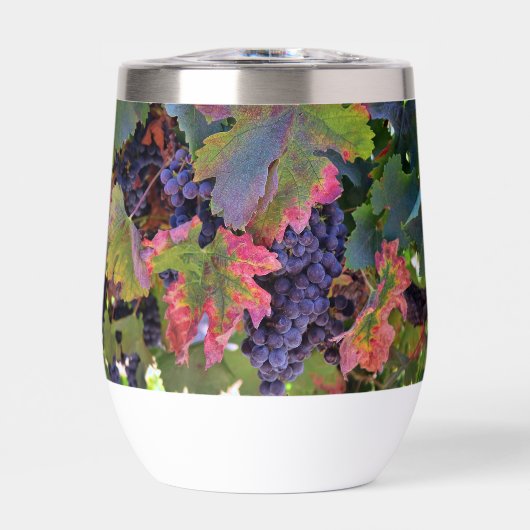 Beau verre de vin avec raisins (Avant)