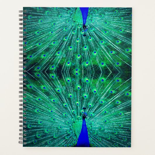 beau vert, bleu et turquoise (Devant)