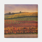Beau Vignoble d'automne Magnet d'art (Devant)
