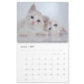 Beau White Cats 2022 Calendrier (Jan 2027)