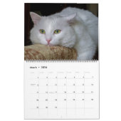 Beau White Cats 2022 Calendrier (Mar 2026)